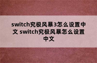 switch究极风暴3怎么设置中文 switch究极风暴怎么设置中文